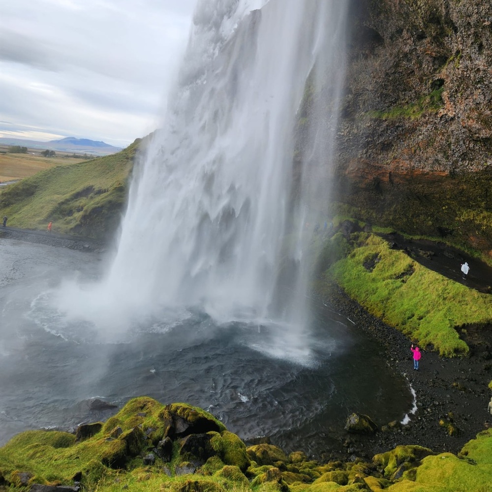 Meet your Posher, Caitlyn
